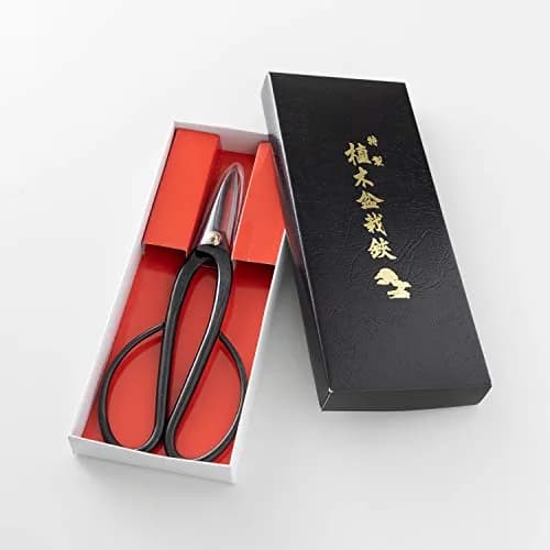 Wazakura Ashinaga Bonsai Pruning Scissors 200mm (7.87in) | Precision Carbon Steel Cut for Delicate Bonsai & Floristry thumbnail 6