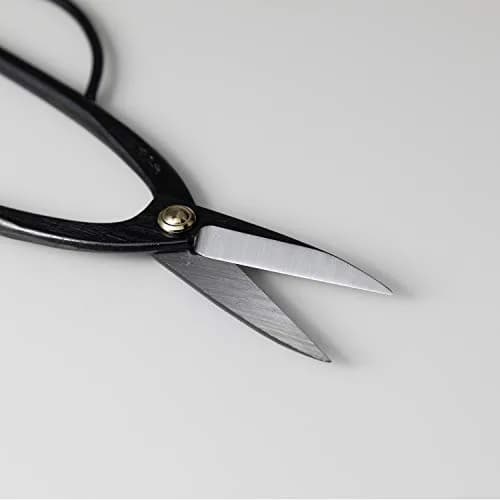 Wazakura Ashinaga Bonsai Pruning Scissors 200mm (7.87in) | Precision Carbon Steel Cut for Delicate Bonsai & Floristry thumbnail 3