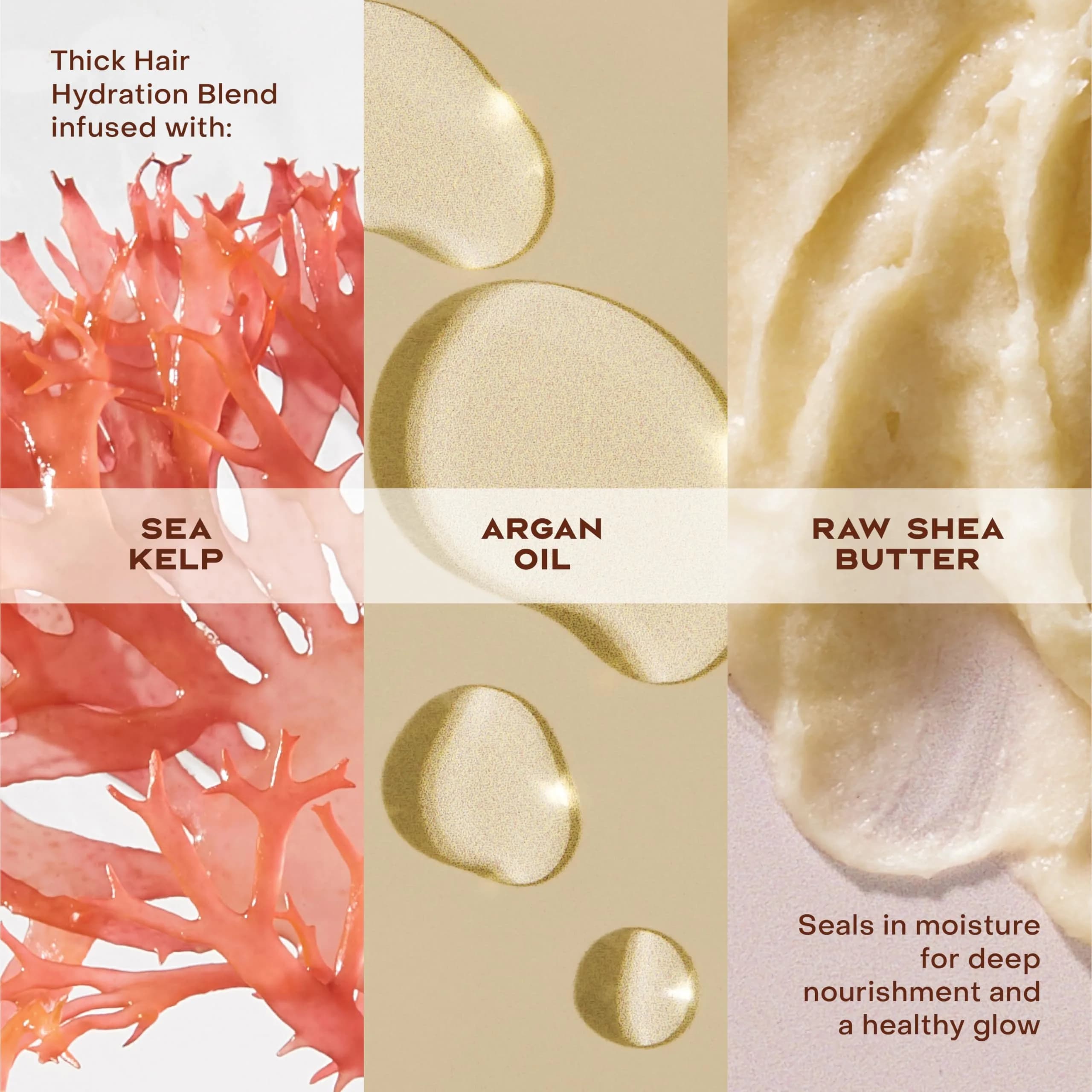 Shea Moisture Raw Shea Butter Deep Moisturizing Conditioner - Pack of 4 - view 4