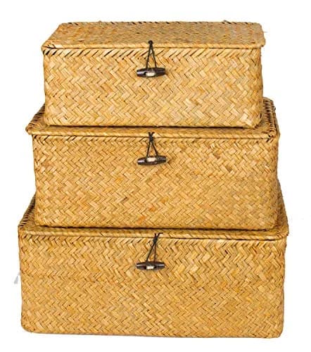 Yesland Handwoven Seagrass Storage Baskets with Lid Set of 3, Compact Rectangular Wicker Bins 20cm (L) | Bohemian Style Organizer for Shelves, Closets, Desktops thumbnail 4
