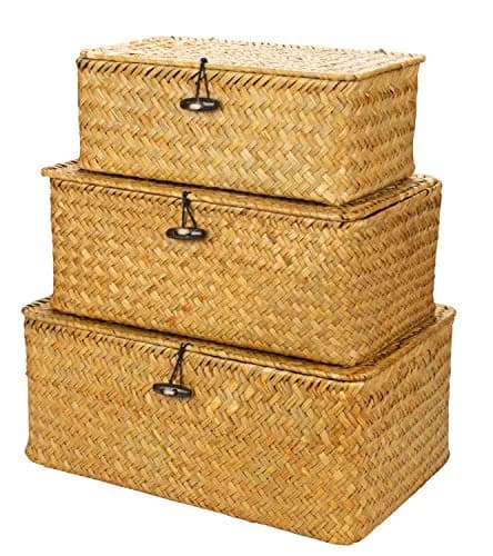Yesland Handwoven Seagrass Storage Baskets with Lid Set of 3, Compact Rectangular Wicker Bins 20cm (L) | Bohemian Style Organizer for Shelves, Closets, Desktops thumbnail 1