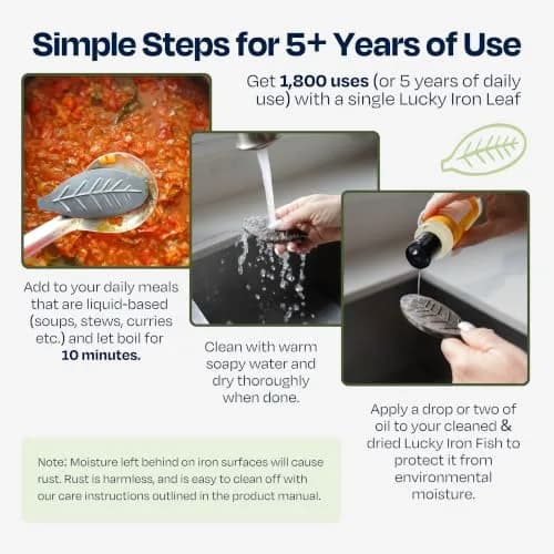 Lucky Iron Fish The Original Lucky Iron Leaf ® | No Side-Effect Iron Source, 5-Years Supply thumbnail 4
