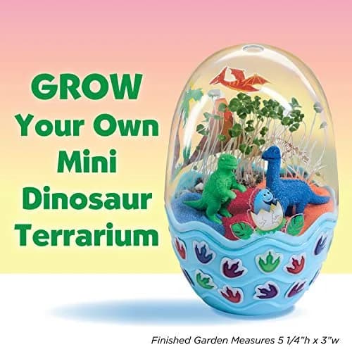 Creativity for Kids Mini Garden Dinosaur Egg Terrarium Kit 17.78cm (7" H) | Grow Your Own Prehistoric World thumbnail 2