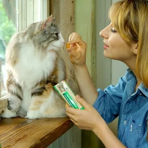 INABA Churu Bites Soft & Chewy Cat Treats, Chicken Flavor, 18 Tubes (0.35 oz each) | Grain-Free, Low-Calorie, Pill-Friendly thumbnail 3