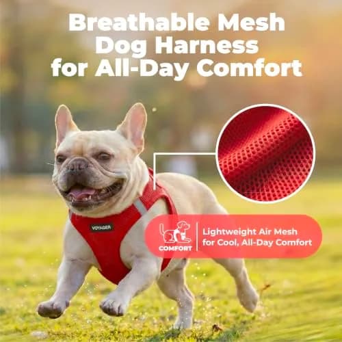 Best Pet Supplies Voyager Step-in Air Dog Vest Harness - Red, XXX-Small | Breathable, Reflective & Easy Fit (70-120 chars) thumbnail 5