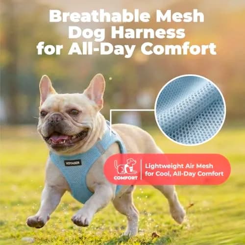 Best Pet Supplies Voyager Step-in Air Dog Vest Harness - Baby Blue, XXX-Small | Breathable Mesh, Reflective Bands, Secure Fit thumbnail 5