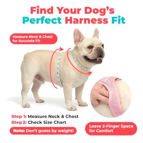 Best Pet Supplies Voyager Step-in Air Dog Vest Harness - Baby Blue, XXX-Small | Breathable Mesh, Reflective Bands, Secure Fit thumbnail 6