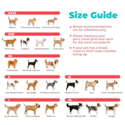 Best Pet Supplies Voyager Step-in Air Dog Vest Harness - Baby Blue, XXX-Small | Breathable Mesh, Reflective Bands, Secure Fit thumbnail 7