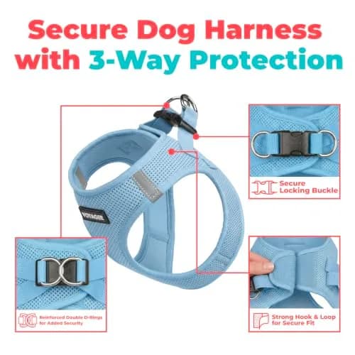 Best Pet Supplies Voyager Step-in Air Dog Vest Harness - Baby Blue, XXX-Small | Breathable Mesh, Reflective Bands, Secure Fit thumbnail 2