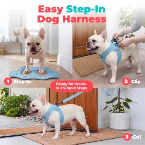 Best Pet Supplies Voyager Step-in Air Dog Vest Harness - Baby Blue, XXX-Small | Breathable Mesh, Reflective Bands, Secure Fit thumbnail 3