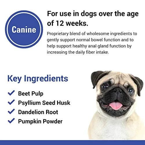 Vet Classics No Scoot for Dogs - 120 Soft Chews | Supports Anal Gland & Bowel Function thumbnail 5