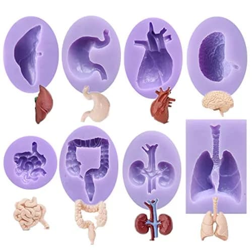 Dekostar Human Organs Shape Silicone Molds,8 Pcs | Food Preparation & Cake Decor (110 chars) thumbnail 1