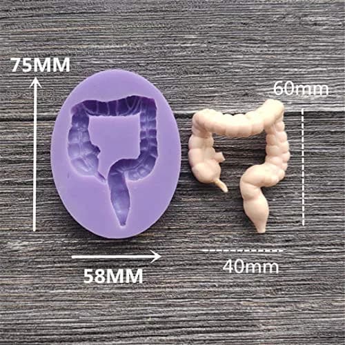 Dekostar Human Organs Shape Silicone Molds,8 Pcs | Food Preparation & Cake Decor (110 chars) thumbnail 7