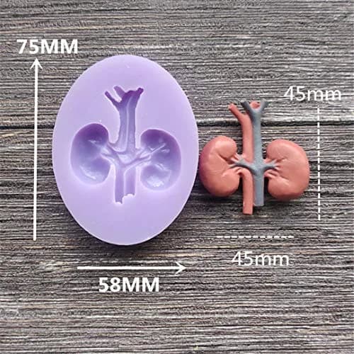 Dekostar Human Organs Shape Silicone Molds,8 Pcs | Food Preparation & Cake Decor (110 chars) thumbnail 8