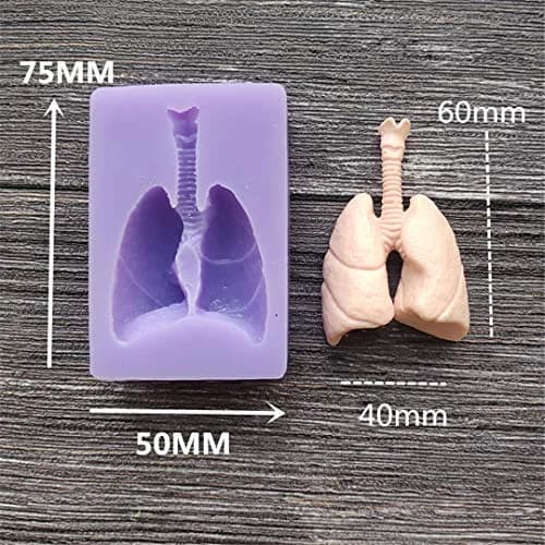 Dekostar Human Organs Shape Silicone Molds,8 Pcs | Food Preparation & Cake Decor (110 chars) thumbnail 9