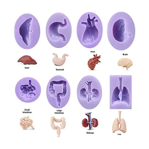 Dekostar Human Organs Shape Silicone Molds,8 Pcs | Food Preparation & Cake Decor (110 chars) thumbnail 2