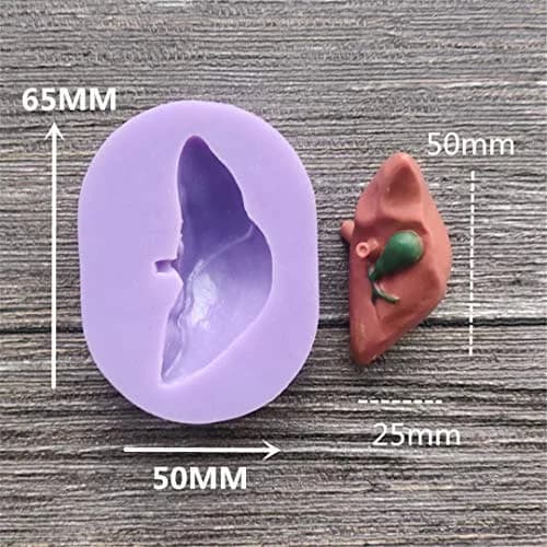 Dekostar Human Organs Shape Silicone Molds,8 Pcs | Food Preparation & Cake Decor (110 chars) thumbnail 3
