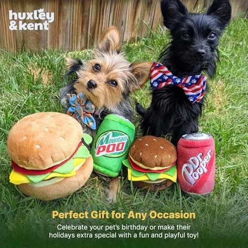 Huxley & Kent Power Plush Squeaky Dog Toy, Dr Pooper, Large | Soft, Durable, and Engaging for Dogs thumbnail 8