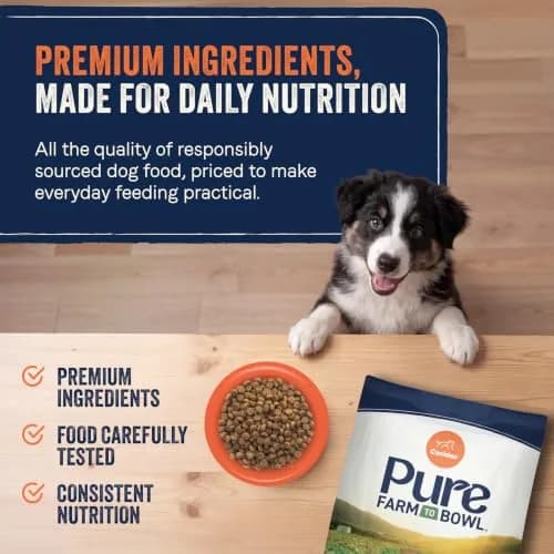 CANIDAE Pure Farm to Bowl Puppy Food 4 lb | Salmon & Oatmeal, Grain-Free, Balanced Nutrition thumbnail 5