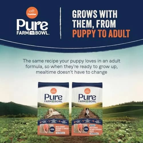 CANIDAE Pure Farm to Bowl Puppy Food 4 lb | Salmon & Oatmeal, Grain-Free, Balanced Nutrition thumbnail 8