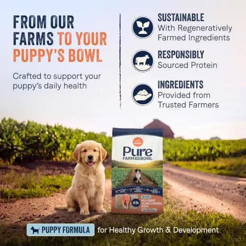 CANIDAE Pure Farm to Bowl Puppy Food 4 lb | Salmon & Oatmeal, Grain-Free, Balanced Nutrition thumbnail 3
