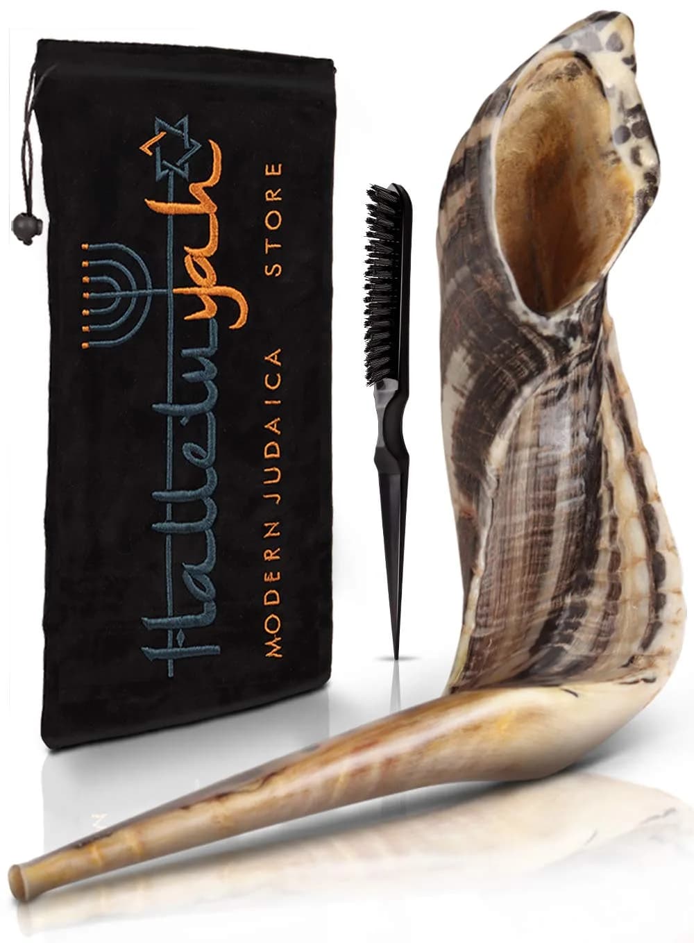 HalleluYAH Kosher Ram Horn Shofar 14"-16" (35.5-40.6 cm) | Authentic Biblical Sound