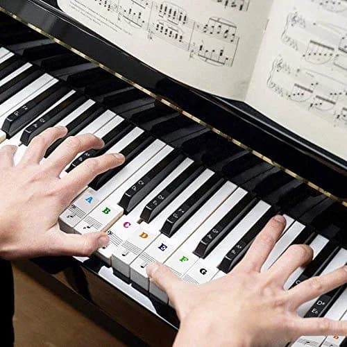Fansjoy Piano Keyboard Stickers for 88 Keys | Bold Large Letter Piano Note Labels for Beginners and Kids thumbnail 4