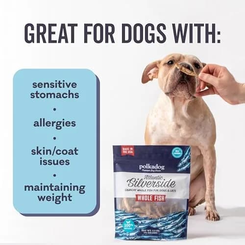 Polkadog Atlantic Silverside Whole Fish Dog Treats 2.5oz | Single Ingredient, Hypoallergenic & High Protein thumbnail 4