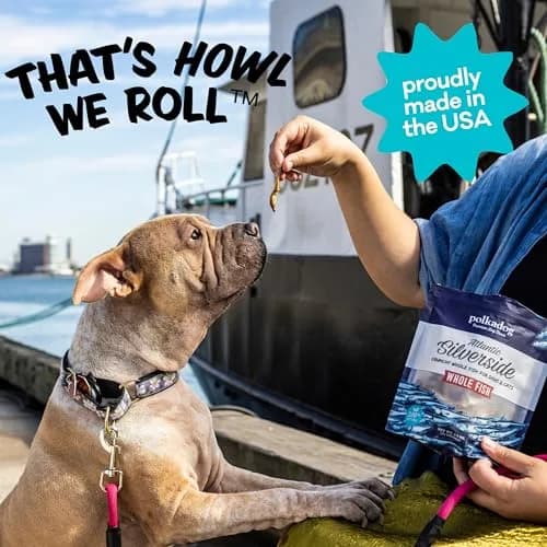 Polkadog Atlantic Silverside Whole Fish Dog Treats 2.5oz | Single Ingredient, Hypoallergenic & High Protein thumbnail 6