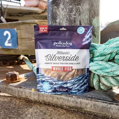 Polkadog Atlantic Silverside Whole Fish Dog Treats 2.5oz | Single Ingredient, Hypoallergenic & High Protein thumbnail 7