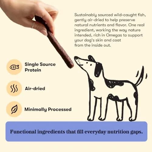 PLATO Meat Sticks Lamb Dog Treats 10 oz | High-Protein Air-Dried Soft Chews with Omega Fish Oil thumbnail 5
