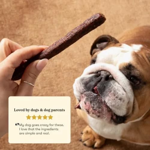 PLATO Meat Sticks Lamb Dog Treats 10 oz | High-Protein Air-Dried Soft Chews with Omega Fish Oil thumbnail 6