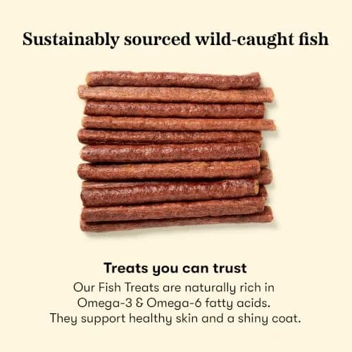 PLATO Meat Sticks Lamb Dog Treats 10 oz | High-Protein Air-Dried Soft Chews with Omega Fish Oil thumbnail 3
