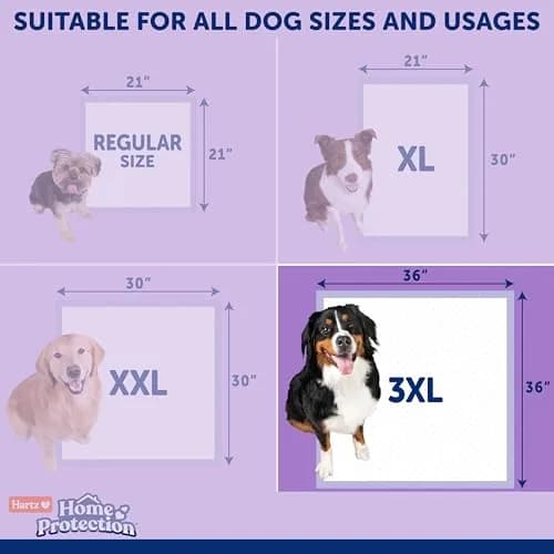 Hartz Dog Pads 3XL 36 x 36 | Odor-Free Lavender Scent, 60ct, Made in USA thumbnail 7