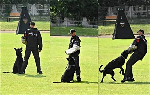 Dingo Gear Right Bite Sleeve Soft Thick Wide Bite Bar | Impact Protection for Dog Training thumbnail 2