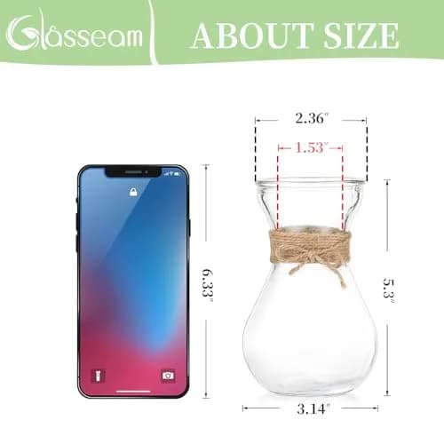 Glasseam Hyacinth Bulb Forcing Vases Set of 3, Small Glass Vase for Flowers | Modern Minimalist Transparent Design thumbnail 4