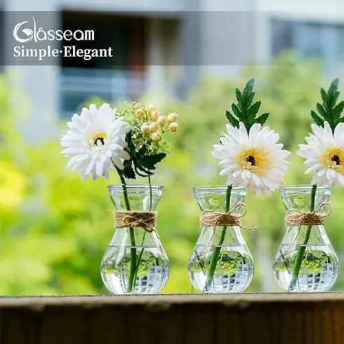 Glasseam Hyacinth Bulb Forcing Vases Set of 3, Small Glass Vase for Flowers | Modern Minimalist Transparent Design thumbnail 2