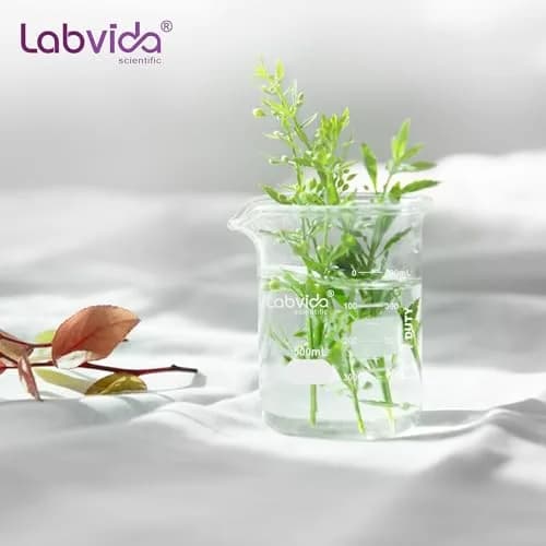 Labvida 4pcs 250ml Borosilicate Glass Beakers | ASTM E960 Compliant, Heat Resistant, Chemical Resistant, 250ml Capacity thumbnail 7