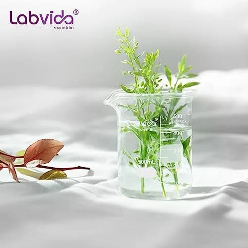 Labvida 6pcs 150ml Borosilicate Glass Beakers | ASTM E960 Compliant, Heat Resistant, Chemical Resistant, Spout & Graduation (120c) thumbnail 9