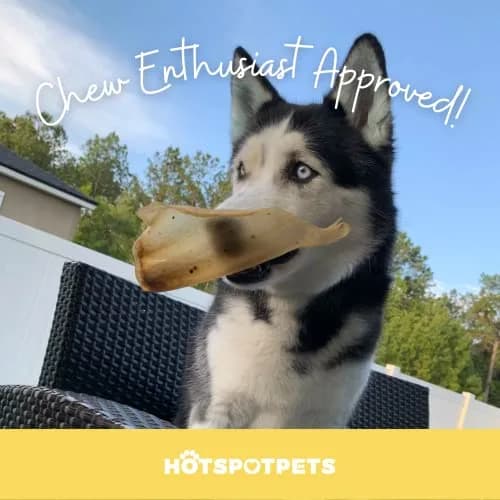 hotspot pets All-Natural Cow Ears Dog Chews (20 Pack) | Long-Lasting, Digestible, Healthy Teeth & Gums thumbnail 7