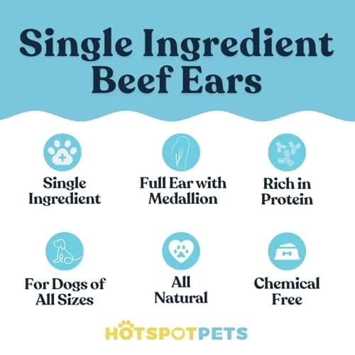 hotspot pets All-Natural Cow Ears Dog Chews (20 Pack) | Long-Lasting, Digestible, Healthy Teeth & Gums thumbnail 2