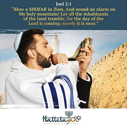 HalleluYAH Ram Horn Shofar 30-35 cm (12"-14") | Authentic Kosher Musical Instrument from Israel thumbnail 4