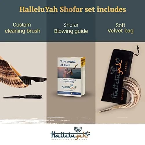 HalleluYAH Ram Horn Shofar 30-35 cm (12"-14") | Authentic Kosher Musical Instrument from Israel thumbnail 3