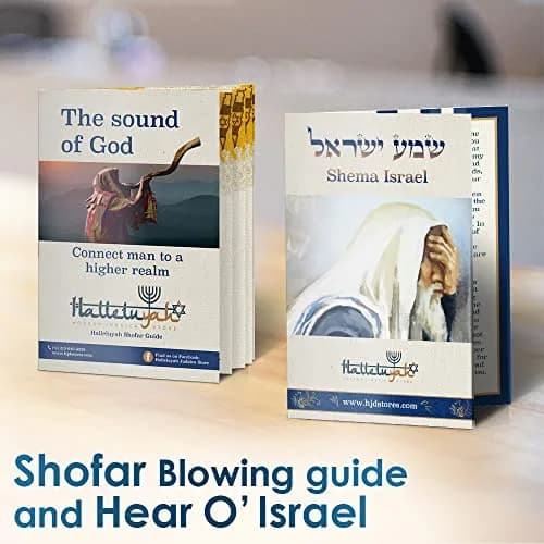 HalleluYAH Ram Shofar 18"-20" (45-50cm) | Authentic Kosher Odorless Ram Horn with Smooth Mouthpiece thumbnail 7