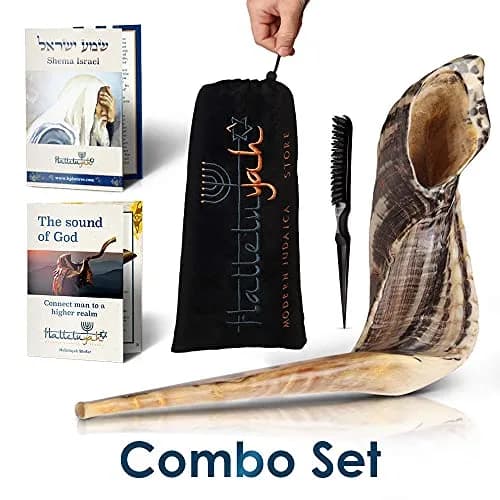 HalleluYAH Ram Shofar 18"-20" (45-50cm) | Authentic Kosher Odorless Ram Horn with Smooth Mouthpiece thumbnail 3