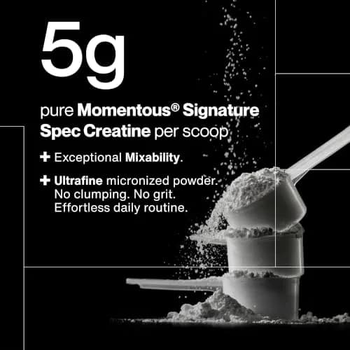 Momentous Creatine Monohydrate Powder 90 Servings (15.8 oz) | NSF Certified for Sport & Muscle Growth thumbnail 4