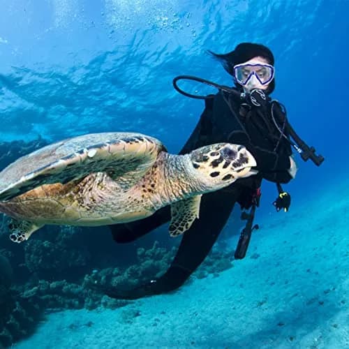 EXP VISION Pano 3 Panoramic View Diving Mask, Tempered Glass Lens Scuba Snorkeling Dive Mask 280g (9.88 oz) | Wide View for Freediving thumbnail 7