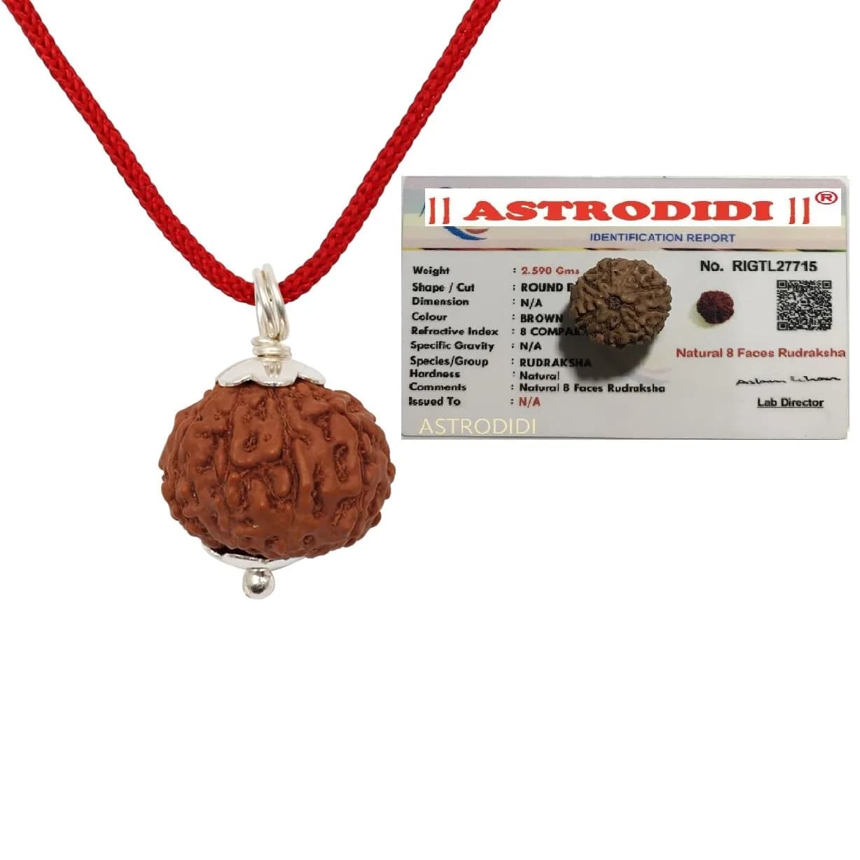 ASTRODIDI 8 Mukhi Rudraksha Pendant 17-18 MM | Certified Java Eight Face Small Size Silver Coated - main product image