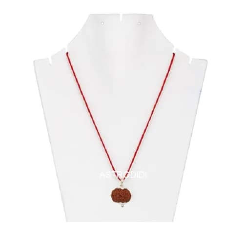 ASTRODIDI 8 Mukhi Rudraksha Pendant 17-18 MM | Certified Java Eight Face Small Size Silver Coated thumbnail 5