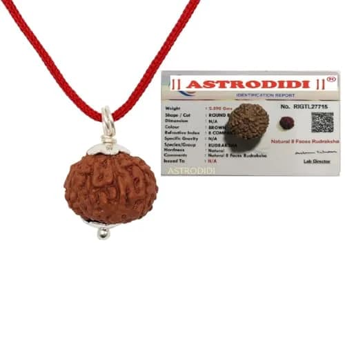 ASTRODIDI 8 Mukhi Rudraksha Pendant 17-18 MM | Certified Java Eight Face Small Size Silver Coated thumbnail 1